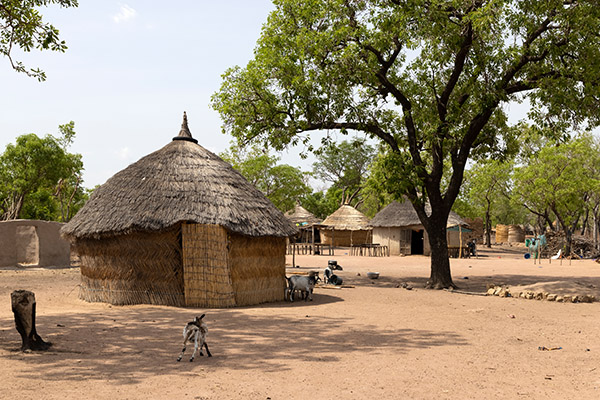 Village hut for exploring